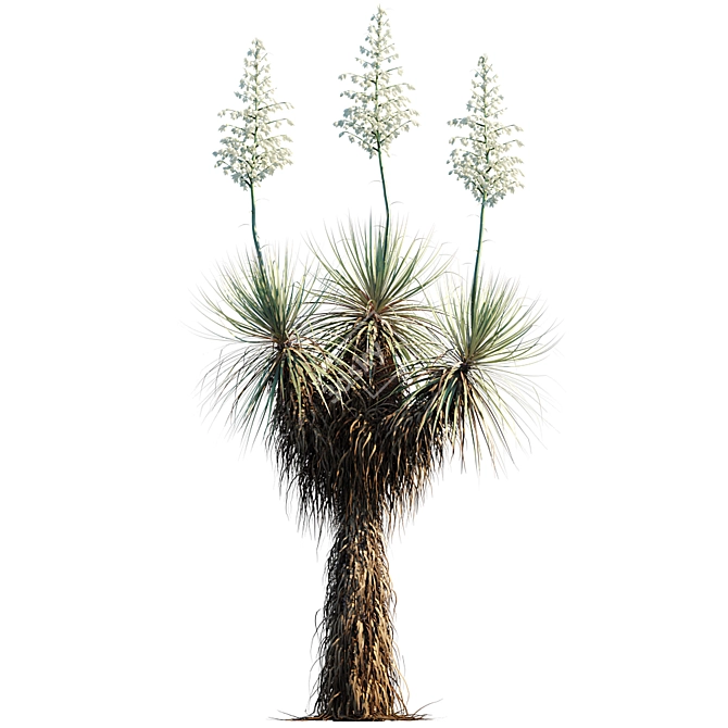Elegant Beaked Yucca: Vibrant Variation 3D model image 3