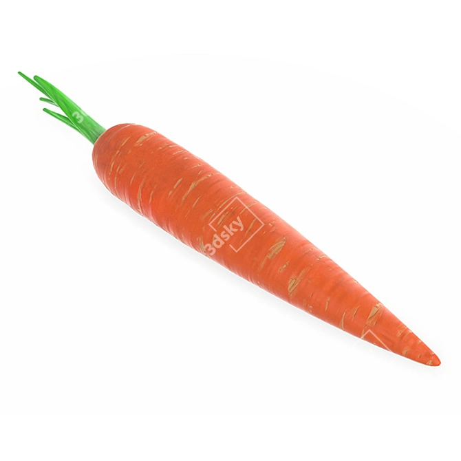 Carrot 01: High-Quality 3D Veggie 3D model image 1