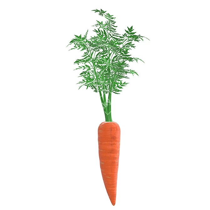 Sleek Carrot 02: Geometric Design with PBR Textures 3D model image 1