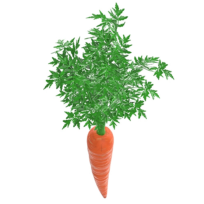 Carrot Geometry Model Kit 3D model image 2