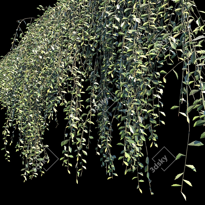 Veronica Curtain Creeper: 10 Modules 3D model image 2