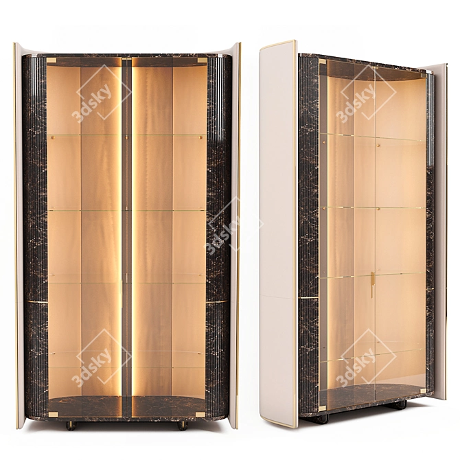 Luxury Wood and Leather Vitrine 3D model image 1