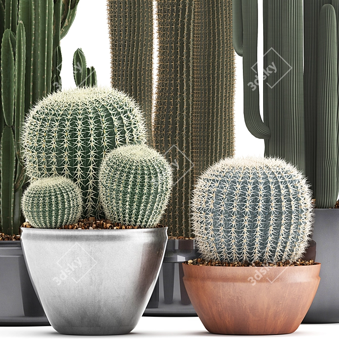 Exotic Cactus Collection - 300 Plants 3D model image 2