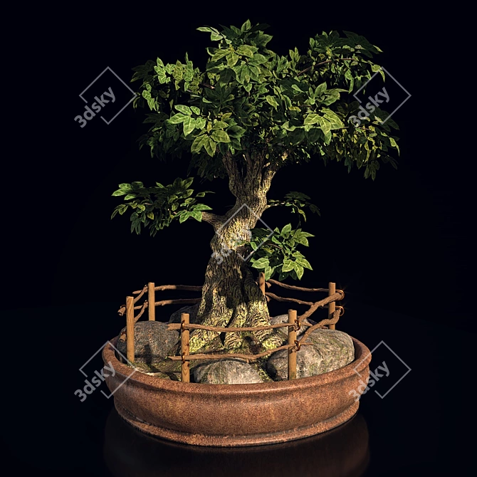 Opulent Opacity Bonsai Tree 3D model image 2