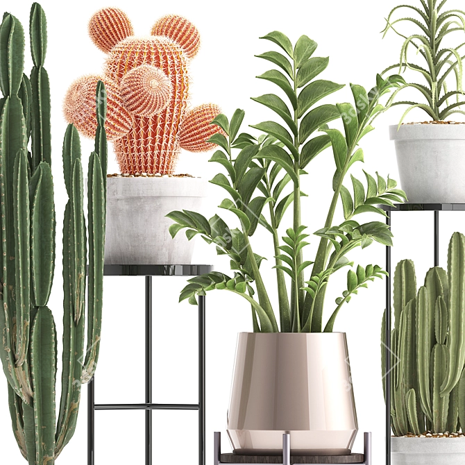 Exotic Plant Collection: Cactus Set 3D model image 2