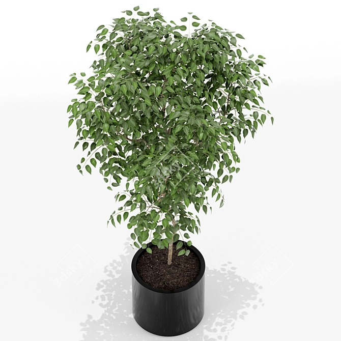 152 Plants Collection: Poly 389412, Verts 235737 3D model image 2