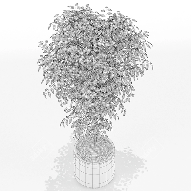 152 Plants Collection: Poly 389412, Verts 235737 3D model image 3