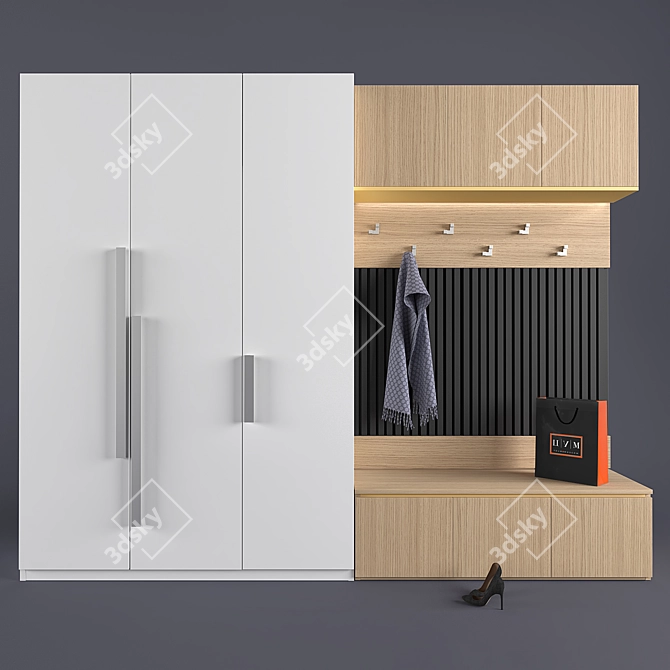 Customizable Hall Storage Unit by MR.Doors 3D model image 1