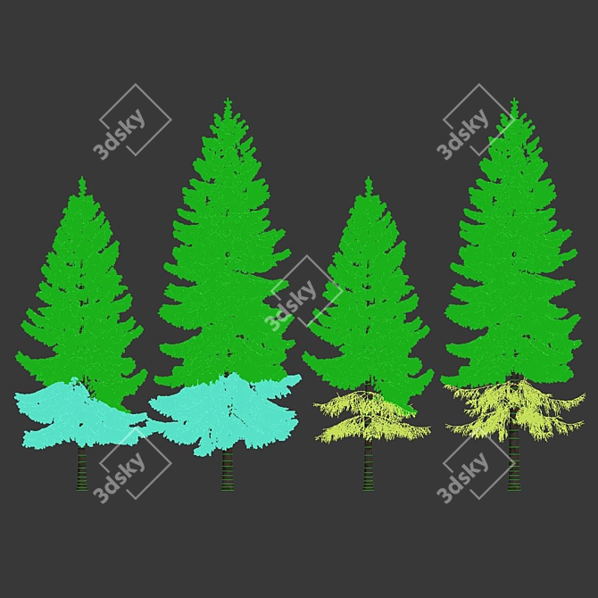 Snowy Spruce #6 - 8,10m Height 3D model image 4