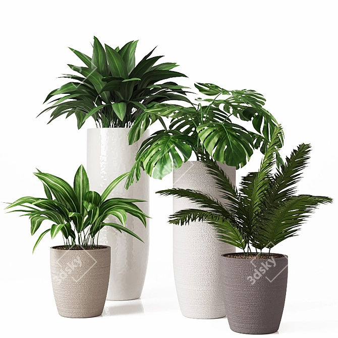 Tropical Indoor Plant Collection 3D model image 1