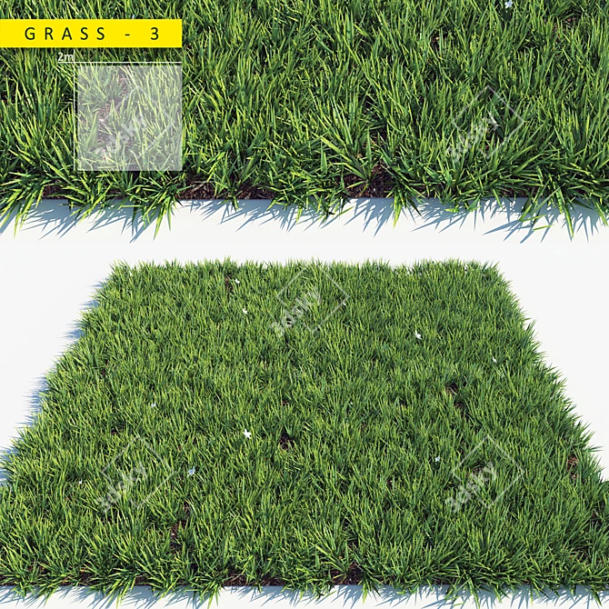 Lush Green 3D Grass Pack 3D model image 1