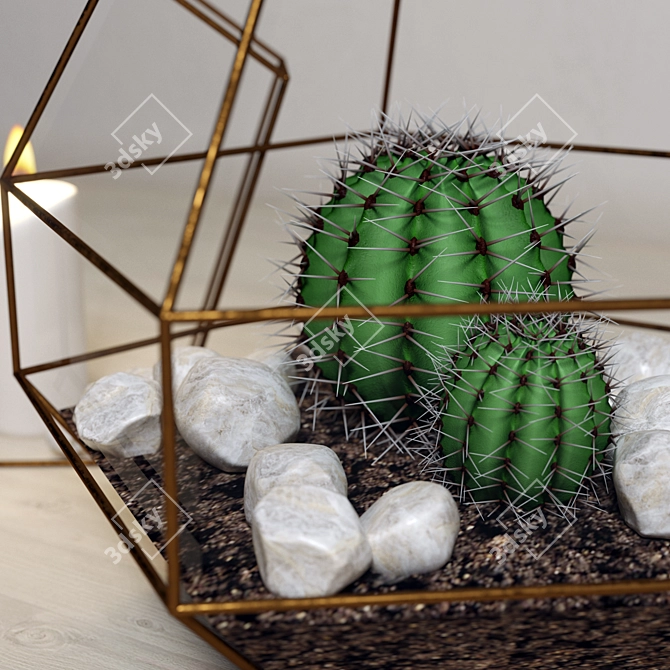 Mini Glass Terrariums with Cacti & Candle 3D model image 2