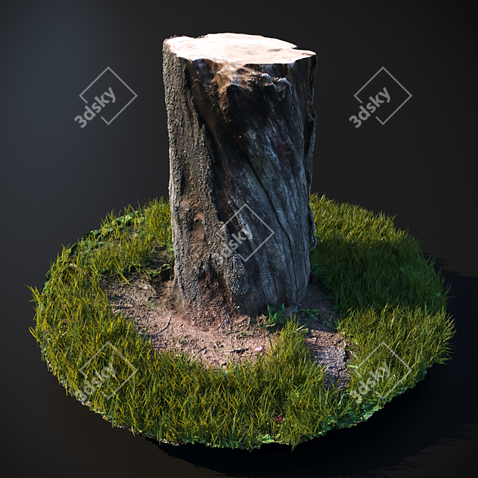 Scanned Stump with Grass Trim 3D model image 2