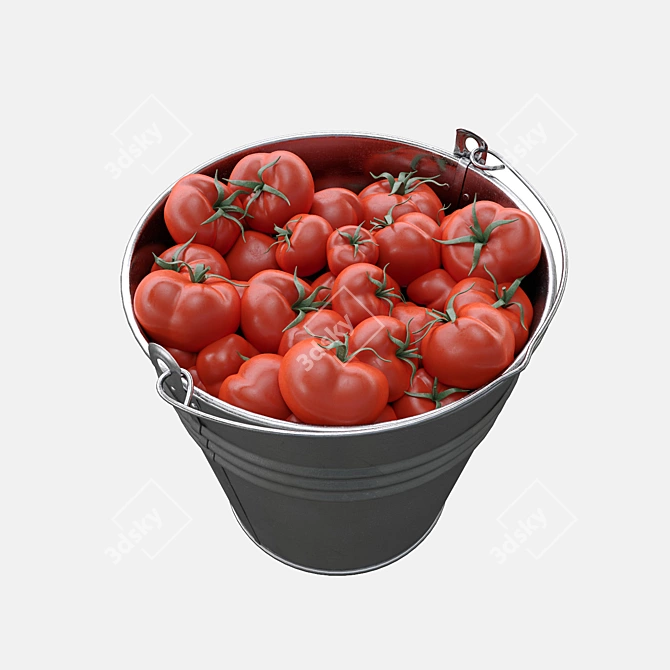 Fresh Harvest: Metal Bucket with Tomatoes 3D model image 2