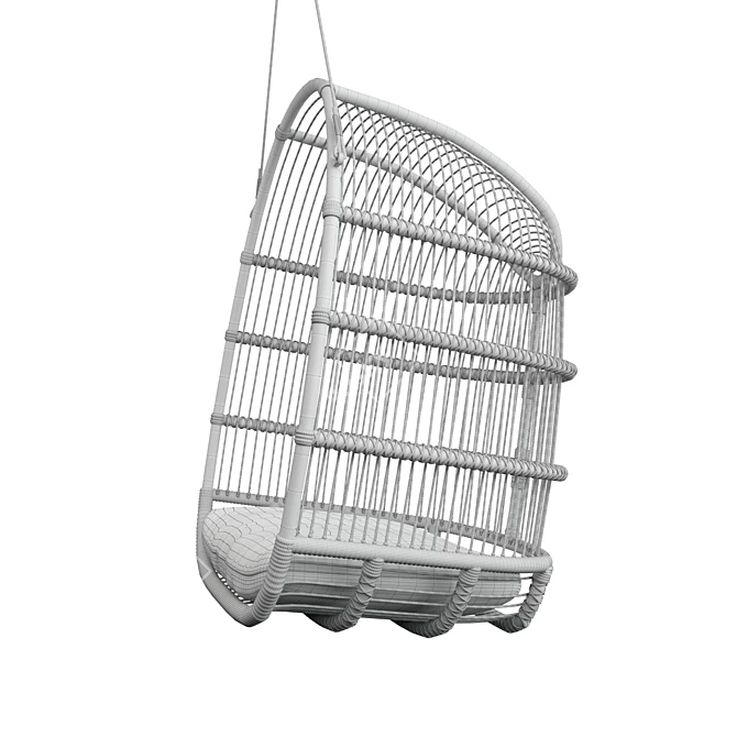 Cozy Hammock Swing Chair 3D model image 2