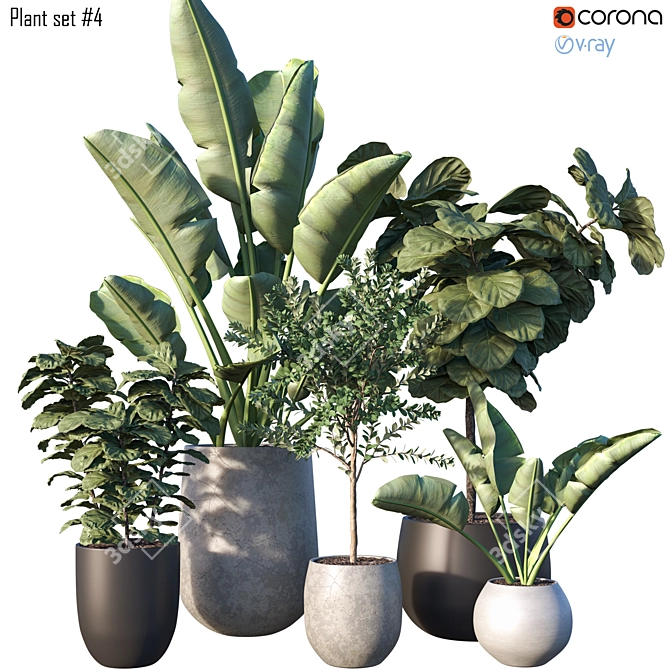  Lush Greenery Plant Set 3D model image 1