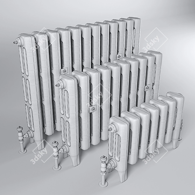 Vintage-Inspired Cast Iron Radiators 3D model image 3