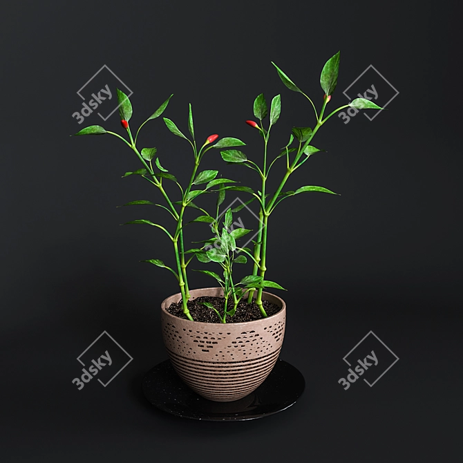 Spanish Homegrown Pepper 3D model image 1