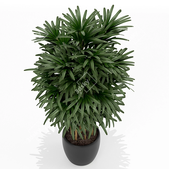 171 Plants Collection for Home 3D model image 2