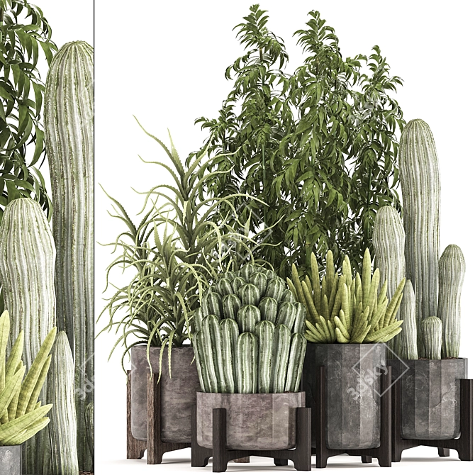Exotic Plant Collection 3D model image 1