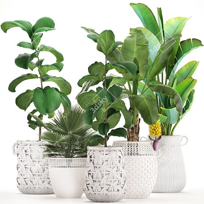 Exotic White Baskets Plant Collection 3D model image 1