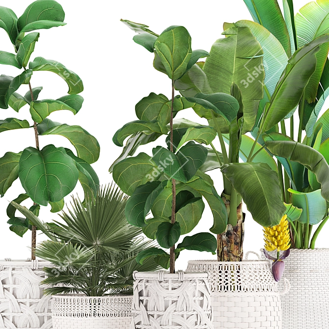 Exotic White Baskets Plant Collection 3D model image 2