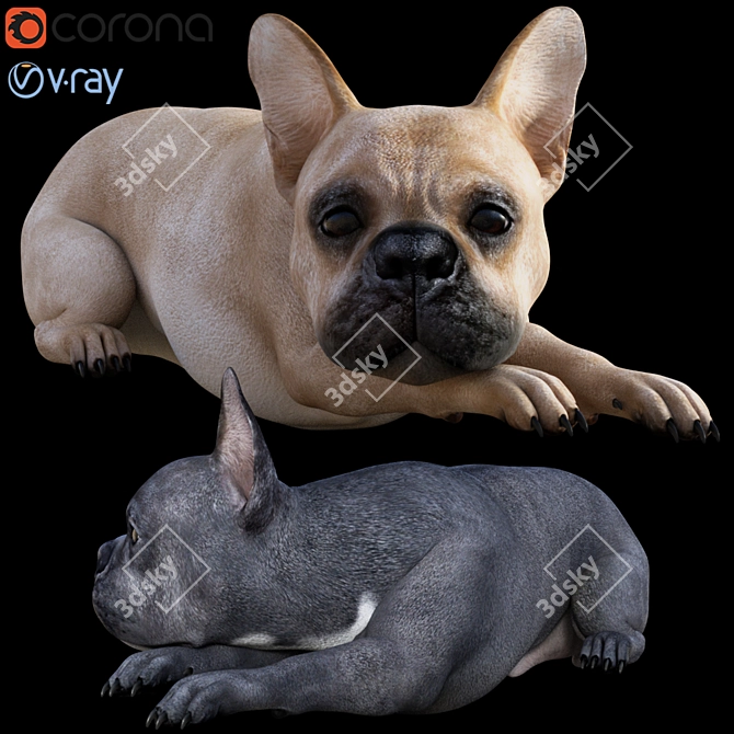 Vibrant Bulldog 3D Model 3D model image 1