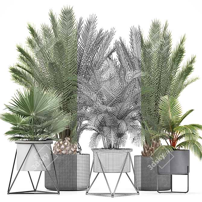 Exotic Indoor Plant Collection 3D model image 3