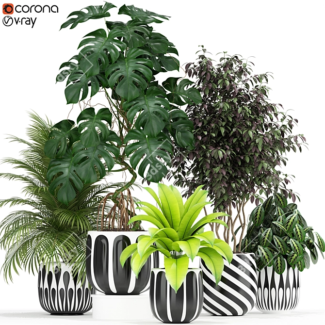 179 Plant Collection: Poly 1.22M, Verts 721K 3D model image 1