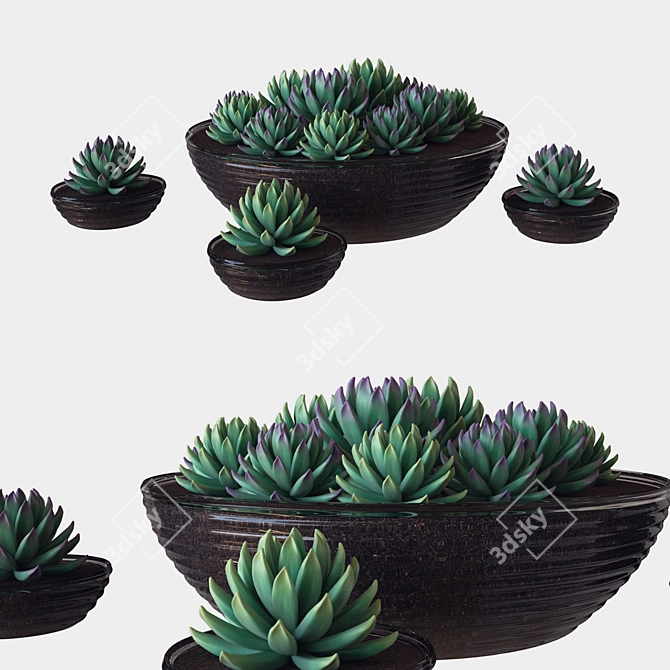 Succulent Glass Pot: 3D Render 3D model image 1