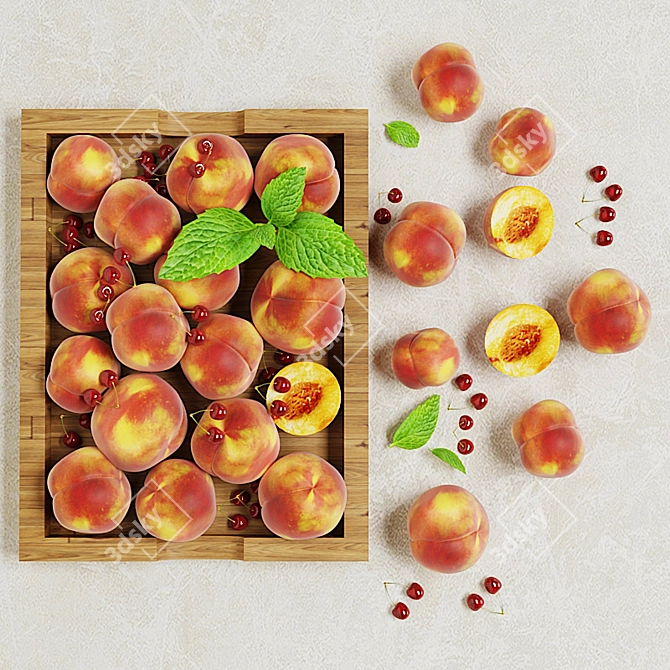 Persic 2015 Peach Tray 3D model image 1