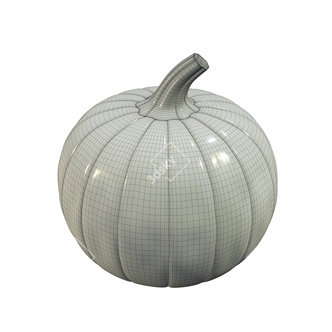 PBR Pumpkin 4k Texture 3D model image 2