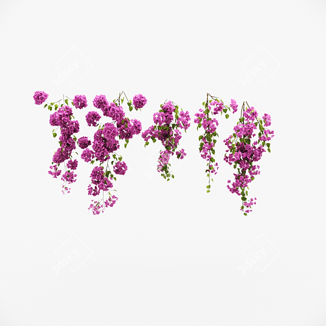 Blooming Bougainvillea Climber: Beautifully Realistic 3D Floral Vine 3D model image 3