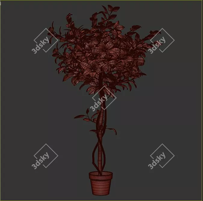 Blooming Beauty: Camellia Tree in Pot 3D model image 3