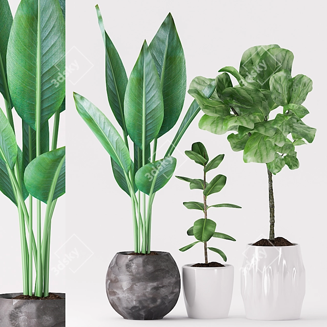 Tropical Greenery Ceramic Pot 3D model image 1