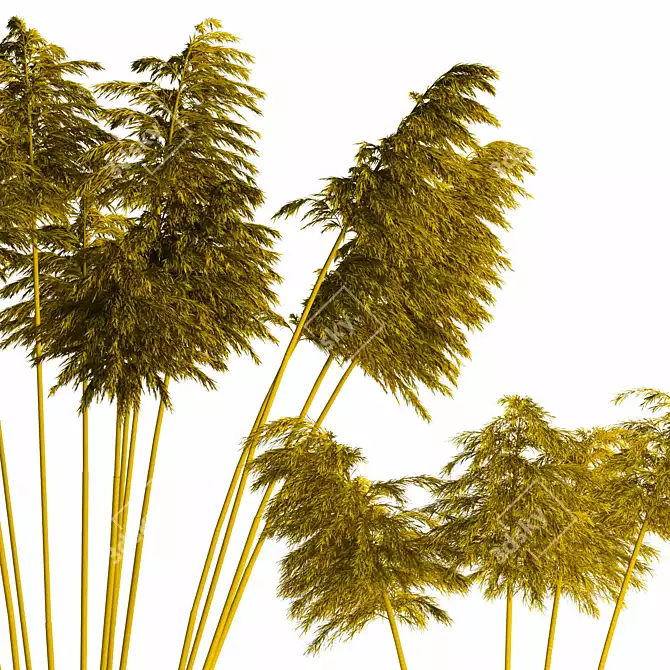 Realistic Dry Reed - Lifelike Texture! 3D model image 3