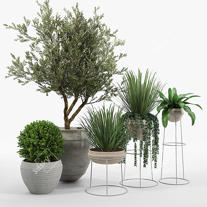 Modern Terracotta Planters for Indoor or Outdoor Use 3D model image 1