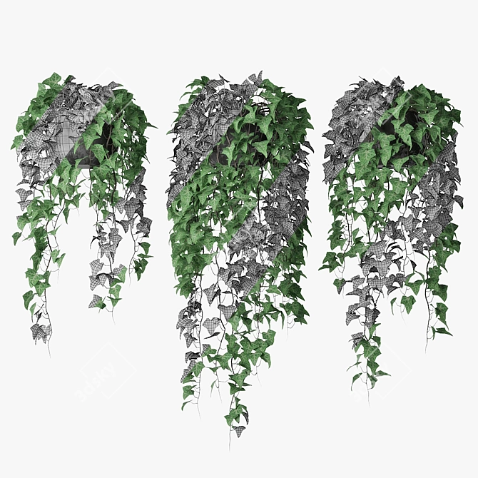 Versatile Ivy Trio in Pot 3D model image 3