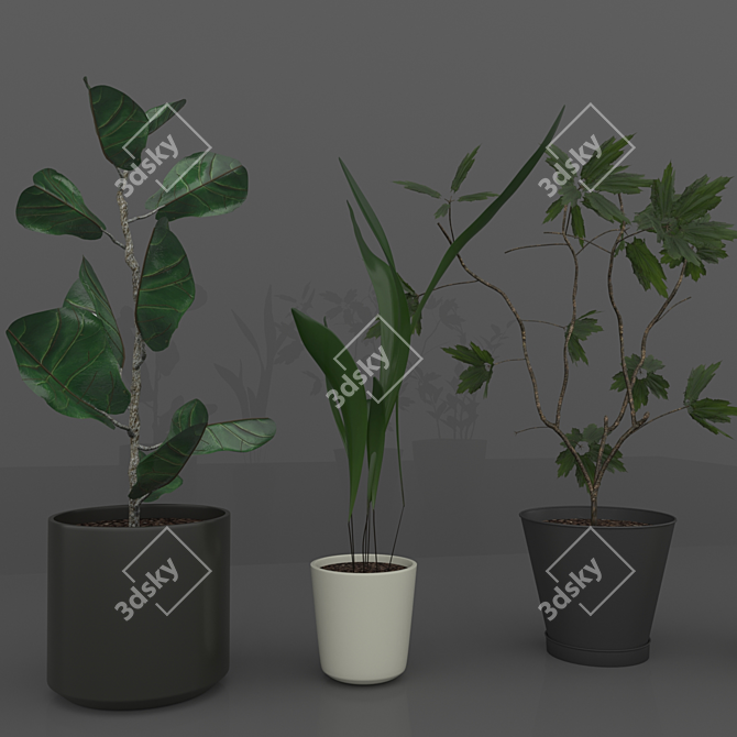 Sina Model: Elegant Indoor Plant 3D model image 3