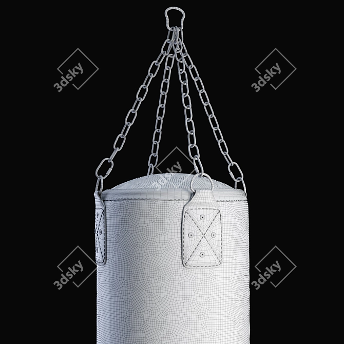 DFC HBL4 Boxing Bag - Perfect for Intense Training 3D model image 2