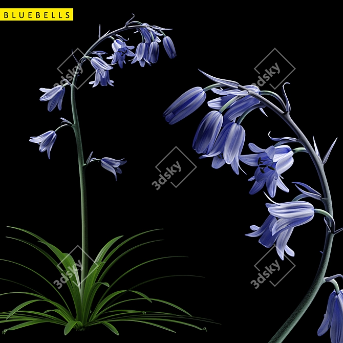 Blooming Beauty: Bluebell Garden Delight 3D model image 1