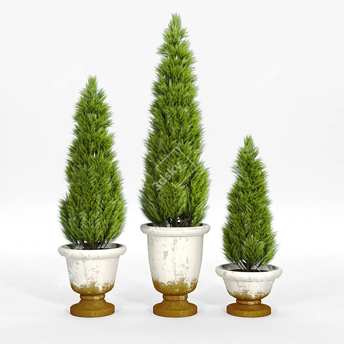 Authentic Tuscan Clay Planters 3D model image 1