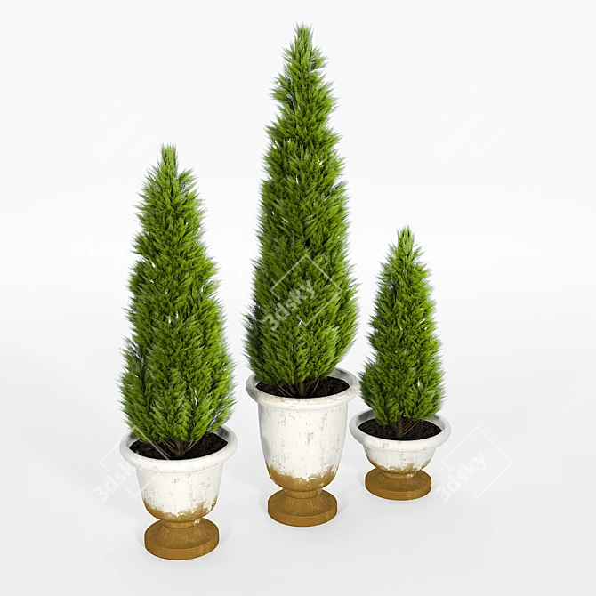 Authentic Tuscan Clay Planters 3D model image 2