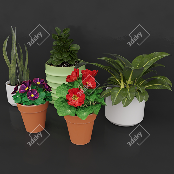 Vibrant Blooms Collection 3D model image 1