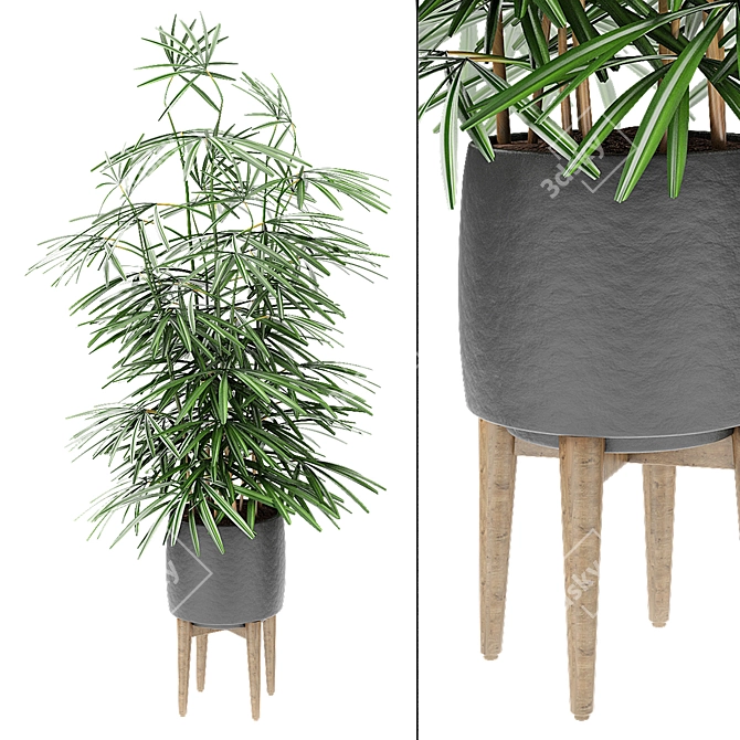 Exotic Plant in Pot 3D model image 1