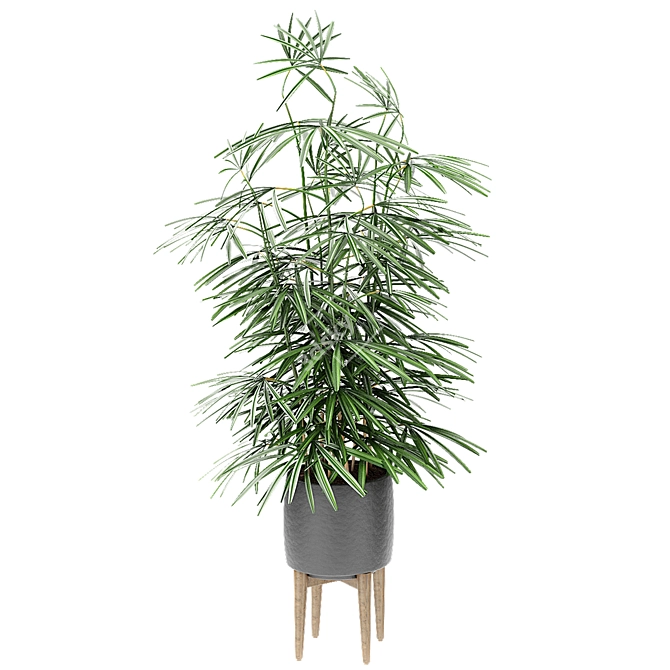 Exotic Plant in Pot 3D model image 2