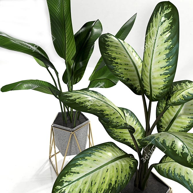 Exquisite Plant Collection 3D model image 2