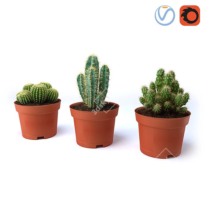 Spike Succulent: Low-maintenance Cactus 3D model image 1