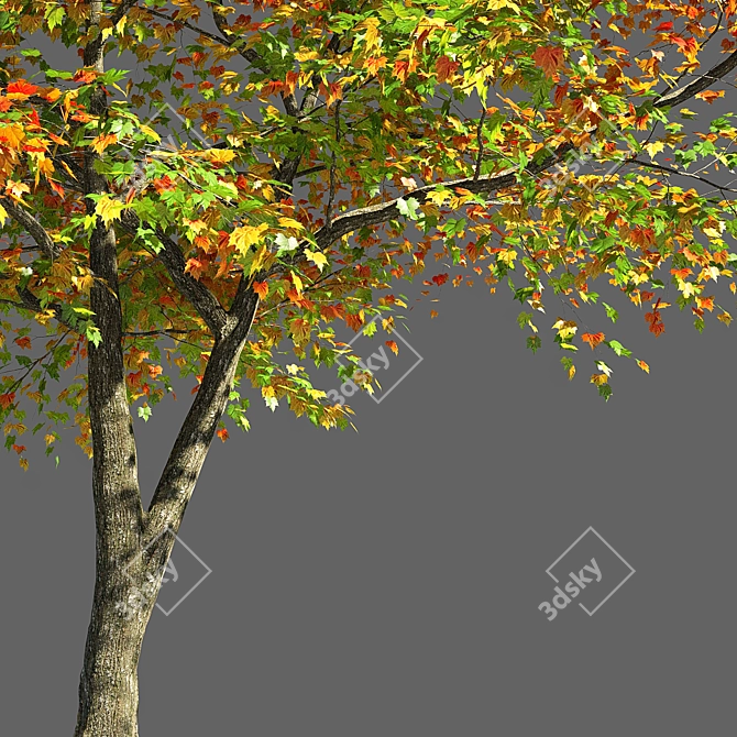  Majestic Maple Tree Sculpture 3D model image 3