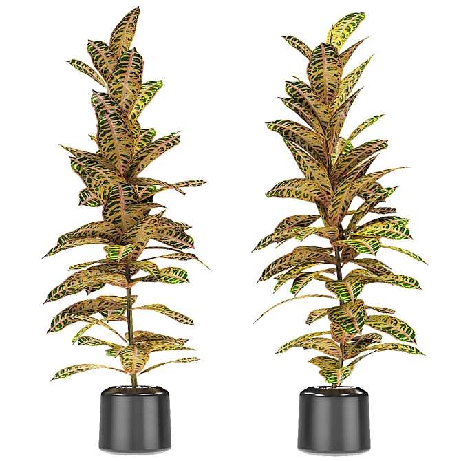 Exotic Plant in Pot: Tropical Elegance 3D model image 1